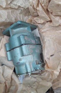 Rotation pump for marine engine